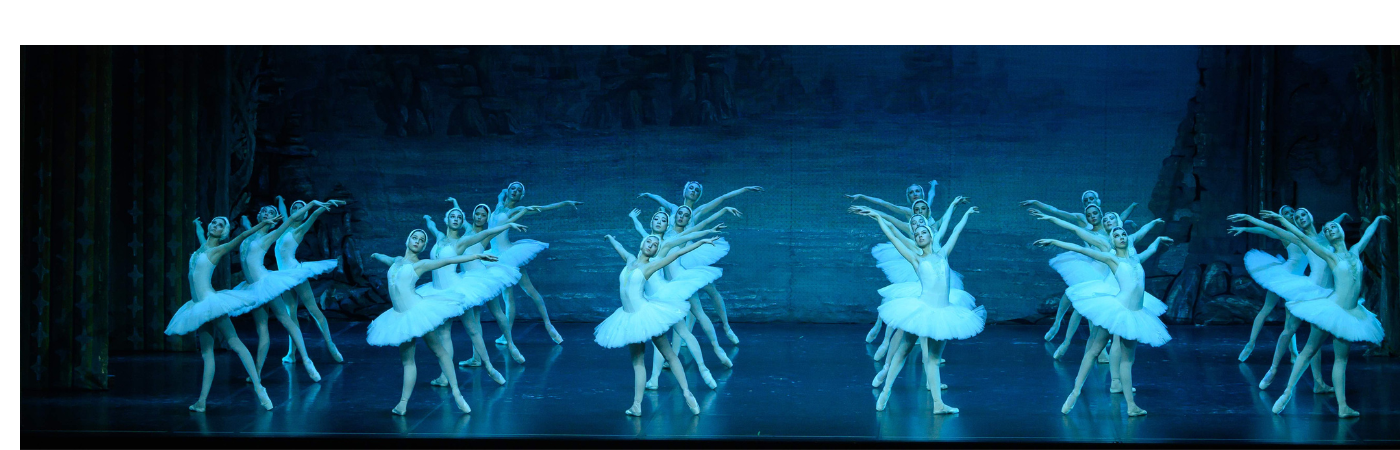 Le Lac des Cygnes